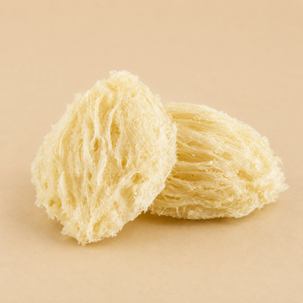 indulgent bird's nest