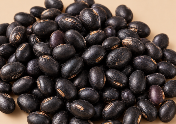 Black Bean