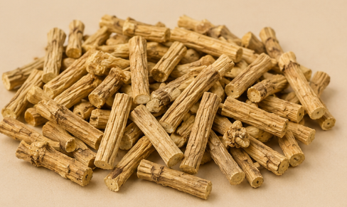 Codonopsis Root
