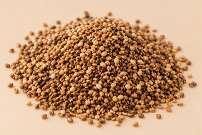 Dodder Seed