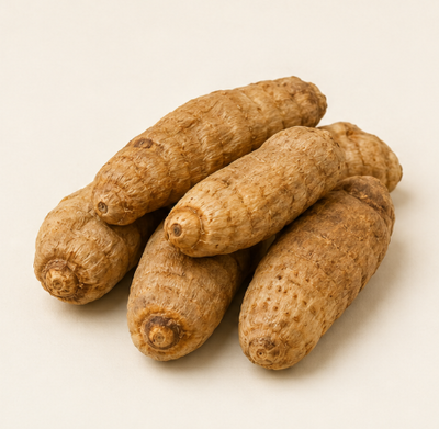 Gastrodia Rhizome