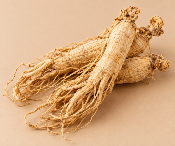 Ginseng Root