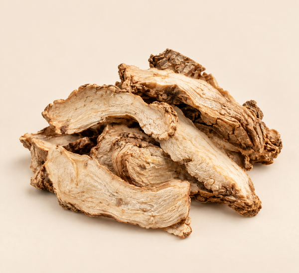 Glehnia Root