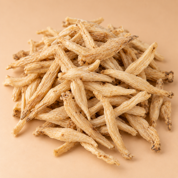 Pseudostellaria Root