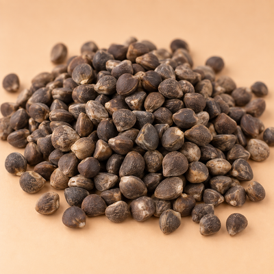 Vaccaria Seed