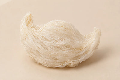 Bird's Nest