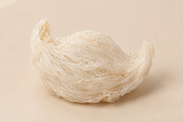 Bird's Nest